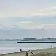 たくちゃん