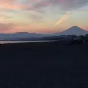 いたちゃんの画像