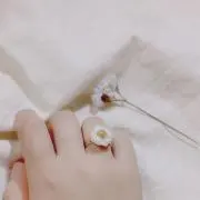 poniponi