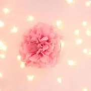 noriの画像
