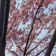 みきの画像