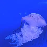 01の画像