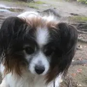 あきの画像
