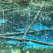 あんぱんの画像