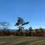 ヨッコヨッコの画像