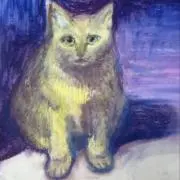 ネコショップの画像