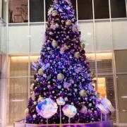 咲