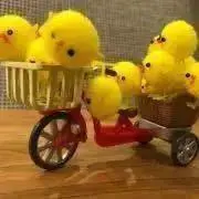 Kayoの画像