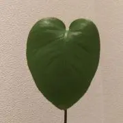 134の画像