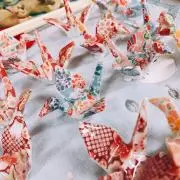 プリンの画像