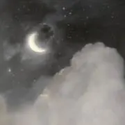 さわの画像