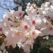 イブ☆カナの画像