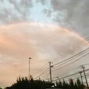 ナイン