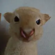 男梅の画像
