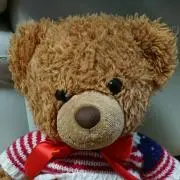 きゃめころの画像