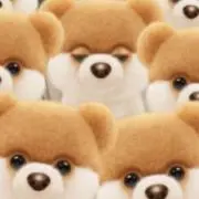 hahaの画像