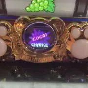 ジャグの画像
