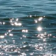 ｓｅａの画像