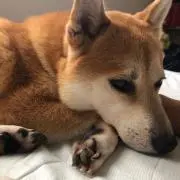 とも