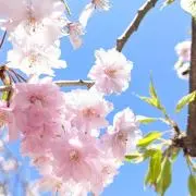 まるまーる