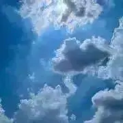 れもんの画像