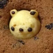 発送出品休止中の画像