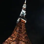 ジャッキーの画像