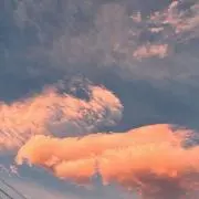 たれ目の画像