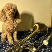 ワカメ