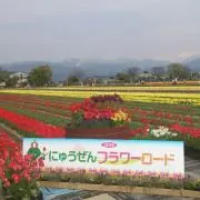 くろべ太郎
