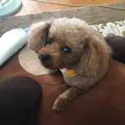 あ