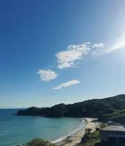 こーじの画像