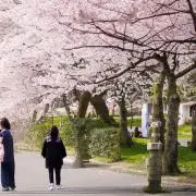 testimony359の画像