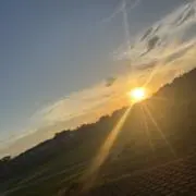 HARUOの画像