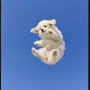 hana★の画像