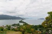 だとの画像
