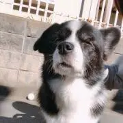 risaの画像