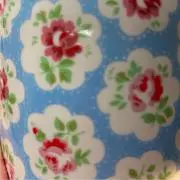 のぶの画像