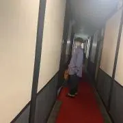 たまの画像
