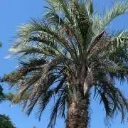 頑張るぞ！