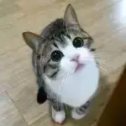 みく※プロフご覧頂けると幸いです♪の画像