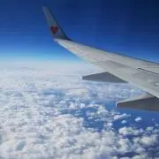 【断捨離中】フラッペの画像