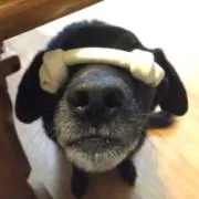 aaa@即購入⭕️ フォロー割の画像