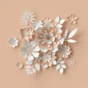 ルネラ＊cosme & zakkaの画像