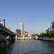 ポチの画像