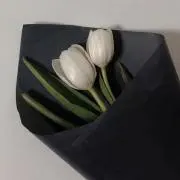 a.