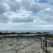 怜の画像