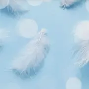 ゆ～みんの画像