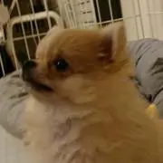 たぺーん　(※プロフィール必読)の画像