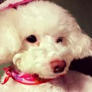 はらぺこ